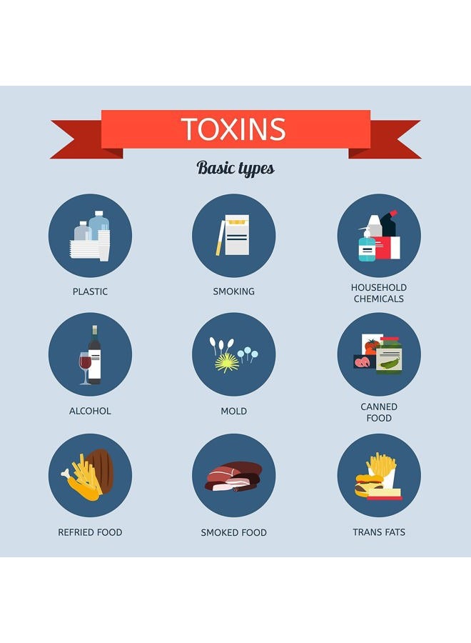 wellgenix بوريكلين X2 لتنظيف السموم - قوة مزدوجة لتنظيف النظام بعمق - مص formulated مع مزيجين فريدين لإزالة وطرد السموم - يتضمن زجاجة فارغة سعة 16 أونصة و 4 كبسولات - Image 5